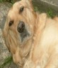 My baby, sasha!..such a poser!!