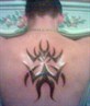 Designed it myself