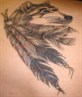 Another one i'll have soon