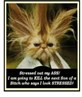 stressssed!!!!!!!!!!!!!!!!!!