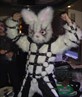 The BUNNY!!!