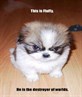 aww...how innocent lookin...remind u of ne1?!