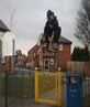 Me on Ma Skateboard!