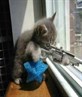 lol love dis pic